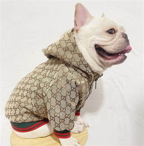 hundebekleidung gucci|Gucci designer dog clothing.